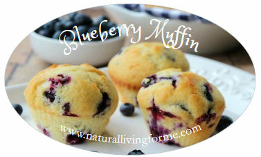 Fresh Baked Blueberry Muffins 