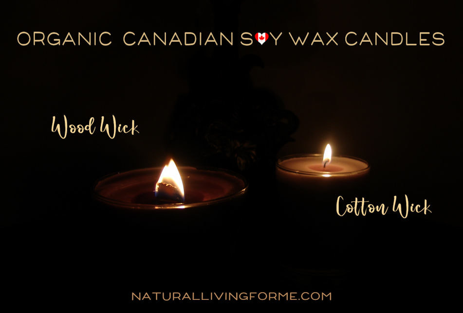 Nature's Gift - Ocean - Natural Wax Gel Candle – Candle Castle & Co.