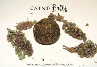 Catnip Balls by Natural Living