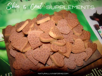 Natural Living Skin & Coat Treats