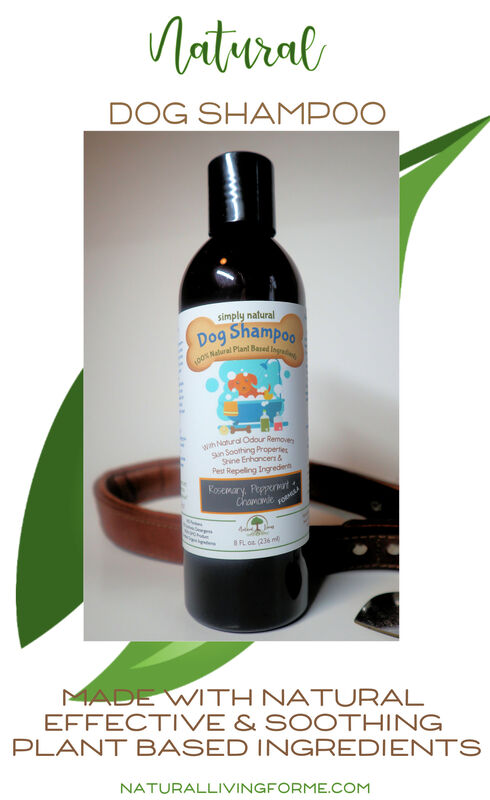 Natural Dog Shampoo