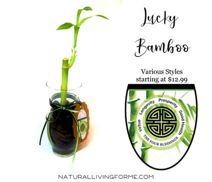 bamboo gifts by Natural living