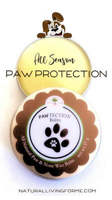 Pawtection Ointment For All Seasons