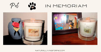 Pet In Memoriam Candles by Natural Living